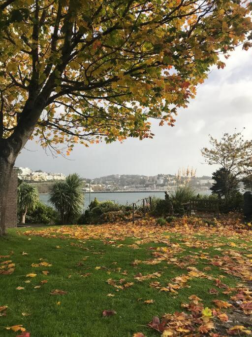 * Popular * Stunning Quiet By The Sea Apartment