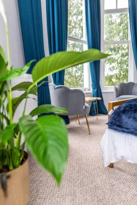 * Popular * Stunning Quiet By The Sea Apartment